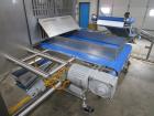 Quantum Topping Applicator With Recirculation Conveyors